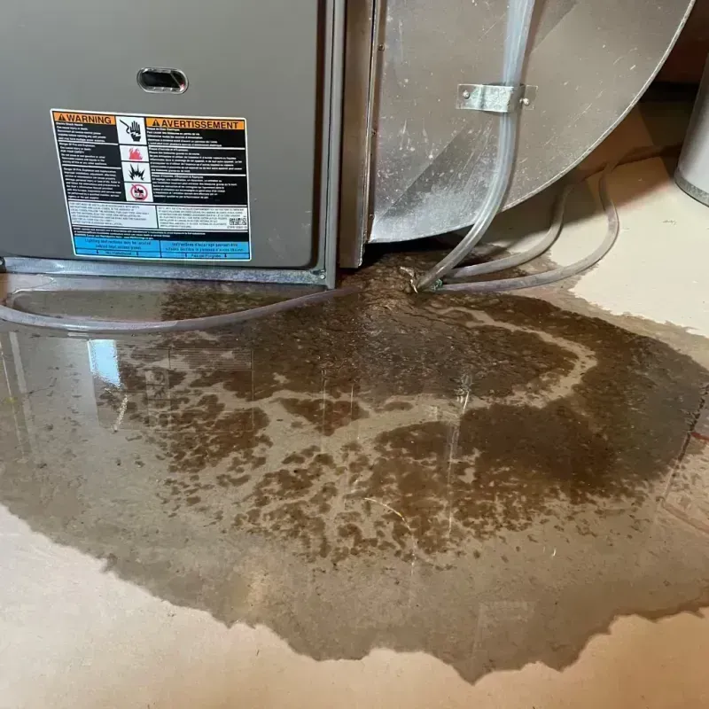 Appliance Leak Cleanup in Delavan, IL